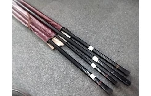 CANNE A PECHE ENSEMBLE CARBOLINO COMPETITION