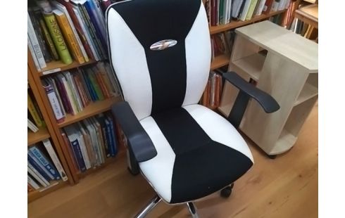 FAUTEUIL DE BUREAU NOIR ET BLANC (QLQS GRIFFURES)