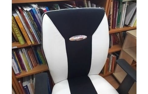FAUTEUIL DE BUREAU NOIR ET BLANC (QLQS GRIFFURES)