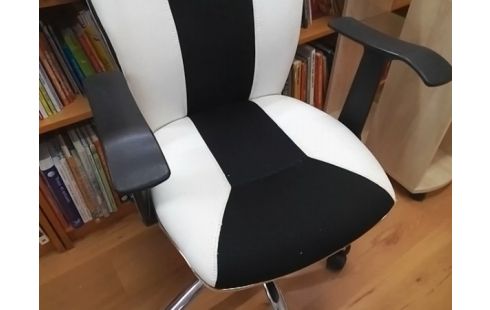 FAUTEUIL DE BUREAU NOIR ET BLANC (QLQS GRIFFURES)