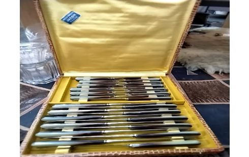 MENAGERE Couteaux coutelier jacon dijon