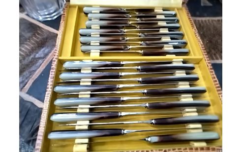 MENAGERE Couteaux coutelier jacon dijon