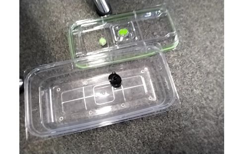 BOITE SOUS VIDE FOOD SAVER