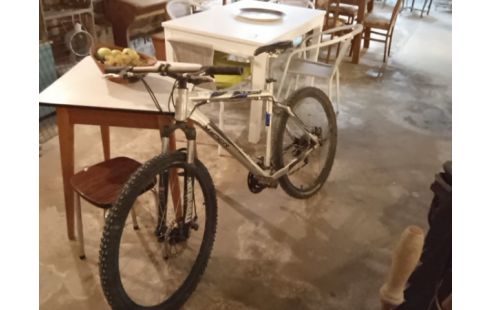 VELO VTT VIPER GRIS