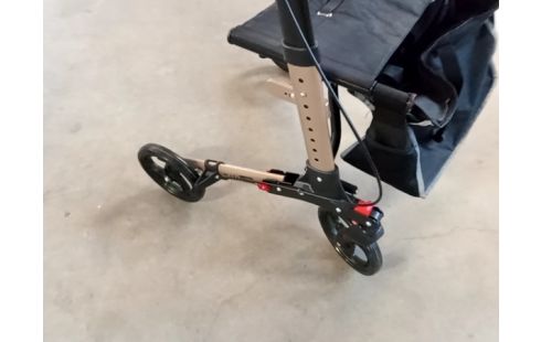 TROTTEUR deambulateur de compétition ;)