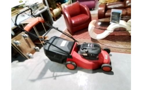 TONDEUSE THERMIQUE RASER XL 550