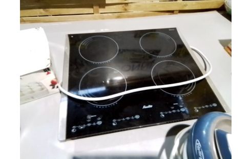 PLAQUE INDUCTION SAUTER