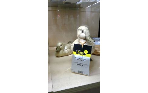 PAIRE DE CANARDS MOLEVOLTI