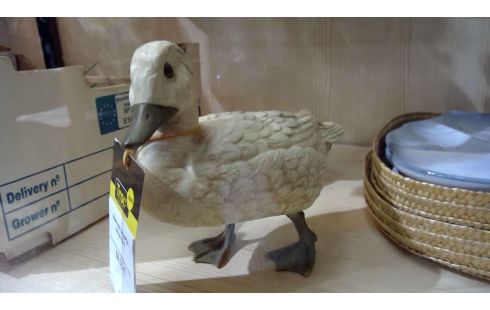 PAIRE DE CANARDS MOLEVOLTI