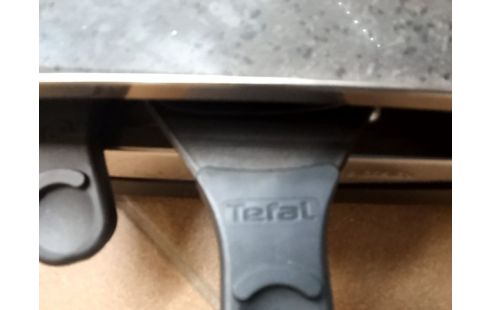 APPAREIL A RACLETTE/GRILL TEFAL