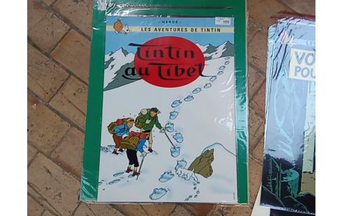 AFFICHE TINTIN