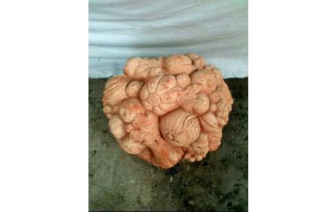 GARTENDEKO TERRAKOTTA <OBSTKORB> 2-TEILIG