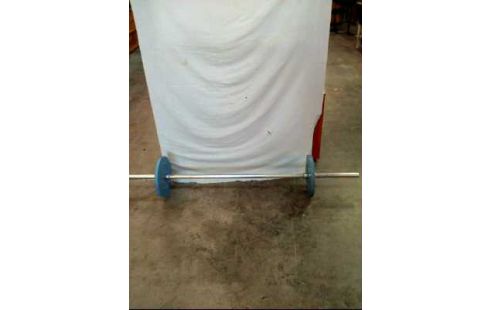 LANGHANTEL METALL INKL. GEWICHTE 20KG