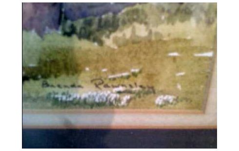 AQUARELL I.R. FELDER <BRENDA.RAWNSLEY>