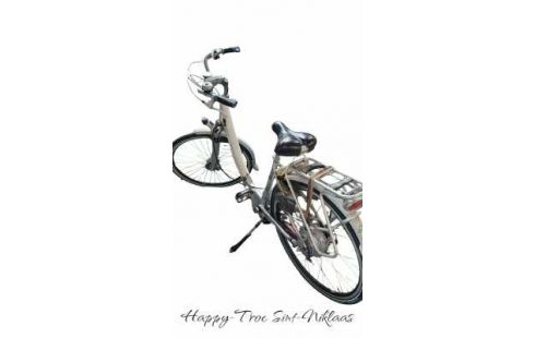 DAMENRAD ELEKTRISCH WEISS GRAU