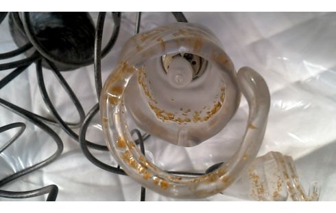 SUSPENSION BRANCHE METAL PATE DE VERRE