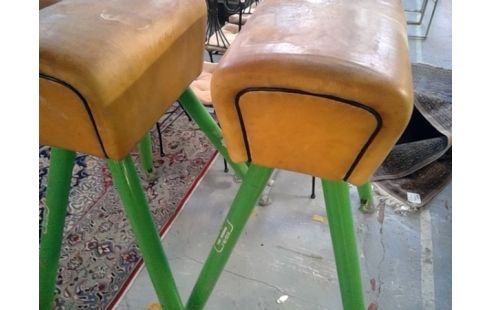 APPAREIL SPORT CHEVAL D ARCON