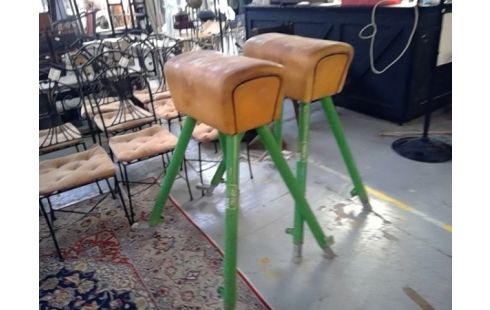 APPAREIL SPORT CHEVAL D ARCON