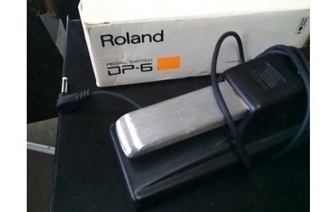 PEDALE SWITCH ROLAND DP-6 POUR PIANO