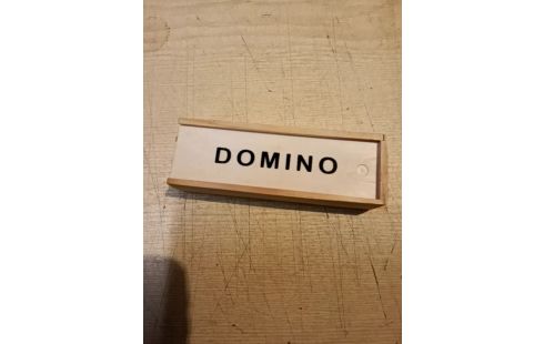 JEU DOMINOS
