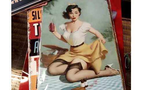 PLAQUE METAL PLAQUE EMAILLEE