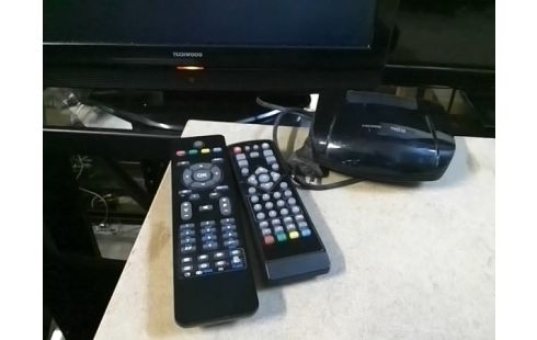 TELEVISEUR TECHWOOD 48CM AVEC DECODEUR TNT