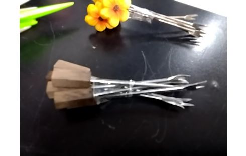 PIQUE APERO BOIS (6)