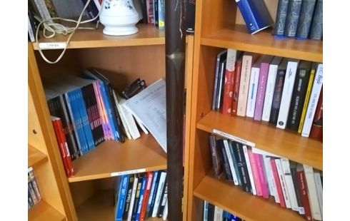 PORTE MANTEAU PERROQUET