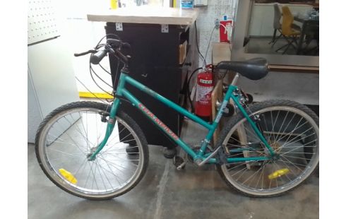 VELO CHAMPION EN L'ETAT