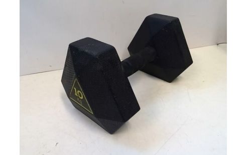 HALTERE 10KG