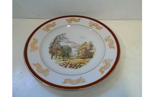 ASSIETTE DECO LIMOGES