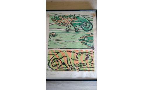 HOUTSNEDE REPTIEL 9/50