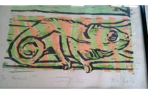 HOUTSNEDE REPTIEL 9/50