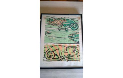 HOUTSNEDE REPTIEL 9/50