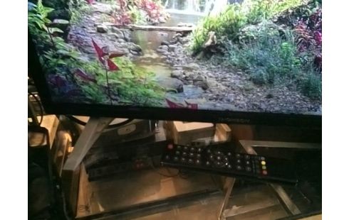 TELEVISEUR THOMSON 70CM TNT HD