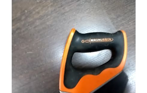 SCIE A MAIN Magnusson