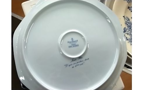 ASSIETTE LIMOGE HAVILAND JARDIN BLEU