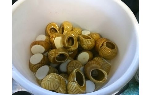 LOT DE COQUILLES D'ESCARGOTS