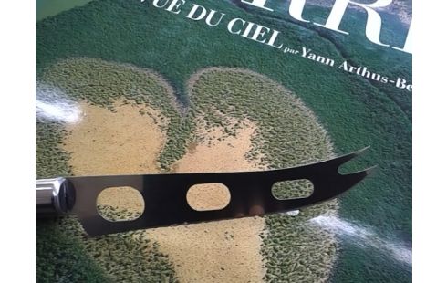 COUTEAU A FROMAGE CHROME