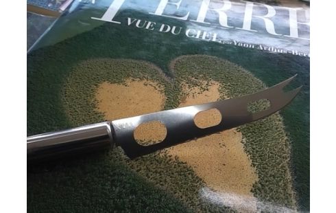 COUTEAU A FROMAGE CHROME