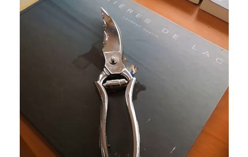 CISEAU A VOLAILLE NOGENT CHROME