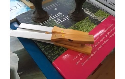 COUTEAU LOT DE 5 MANCHE BOIS