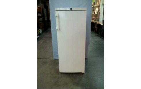 GEFRIERSCHRANK GN 2323 <LIEBHERR NO-FROST>