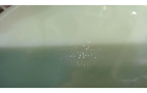 ASSIETTES EN JADE FIRE KING