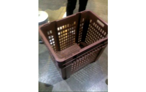 CAJA