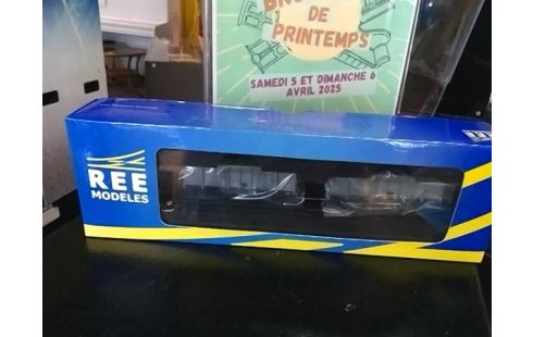 LOT DE 2 WAGONS REE WB 138
