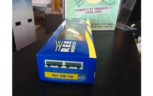 LOT DE 2 WAGONS REE WB 138