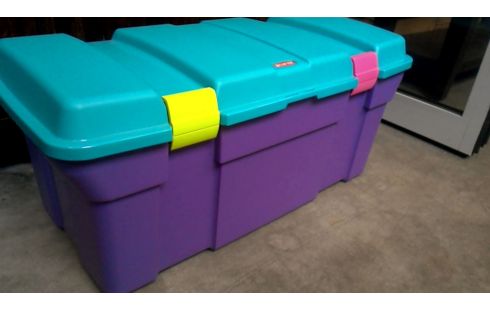 KIST BERGBOX CURVER PAARS BLAUW PVC