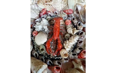 ASSIETTE DECO COQUILLAGES