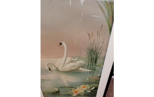 TABLEAU REPRODUCTION CYGNES